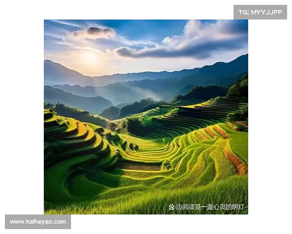 生命与自然的和谐节奏 生命与自然的和谐节奏