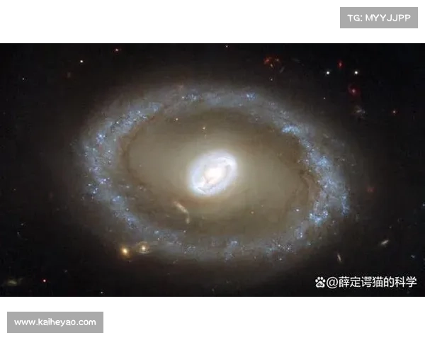 觉醒之力的五大秘密揭示了人类潜能的无限边界与深层奥秘 觉醒之力的五大秘密揭示了人类潜能的无限边界与深层奥秘