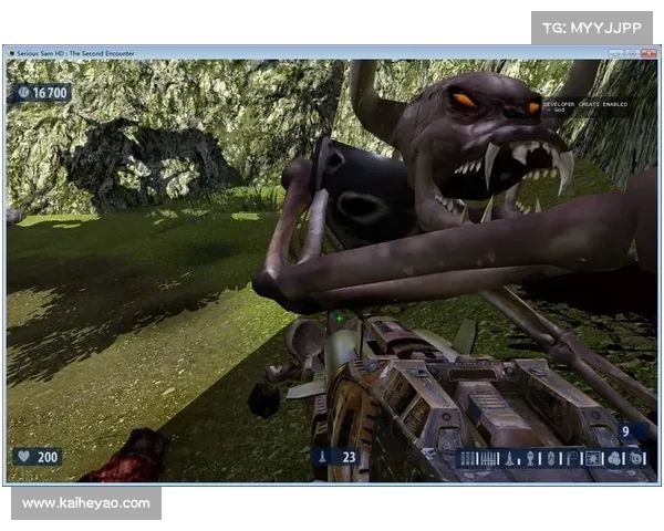 英雄萨姆HD全秘籍完整整理指南助你轻松解锁畅快射击体验