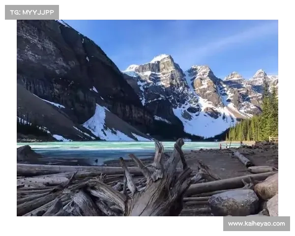 全面解析大卫路易斯战术定位与角色功能演变的深度研究全景综述